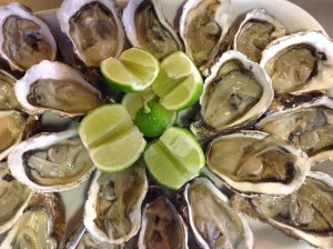 Oysters from  Ria Formosa (kg.)