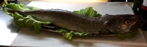 Hake to cook (kg.)