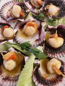 SCALLOPS